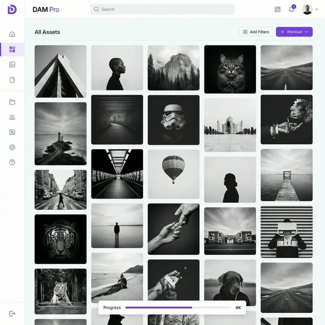 Digital Asset Management (DAM)